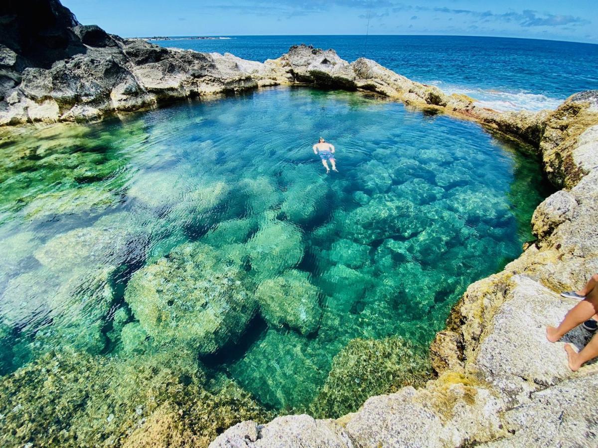 Sea Roots "Garden Zone " Villa Mosteiros  Ngoại thất bức ảnh